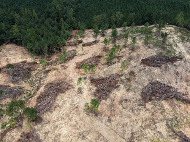 Land for sale in Guin, Marion County