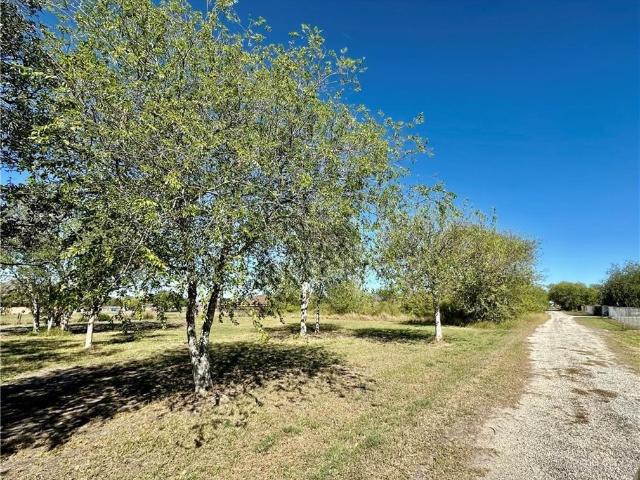 Land for sale in San Patricio, Texas