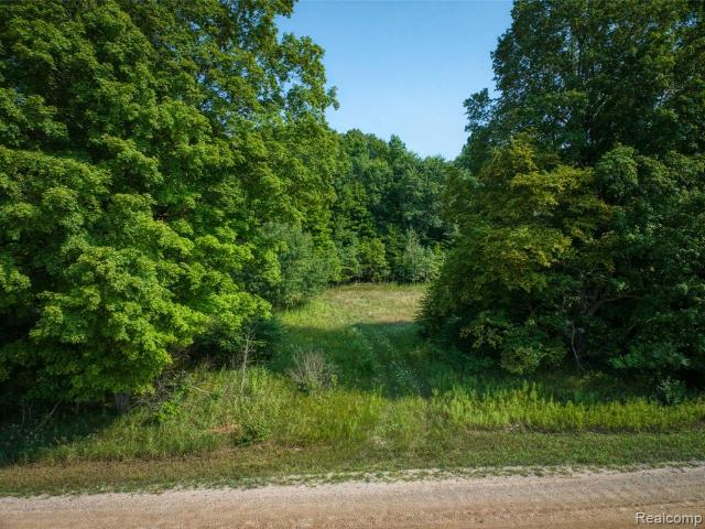 Land for sale in Michigan