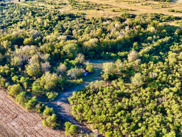 Land for sale in East Bernard, Texas