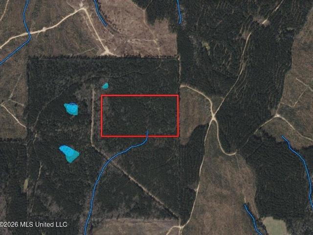 Land for sale in Wesson, Mississippi
