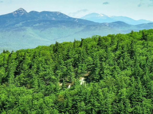 Land for sale in New Hampshire