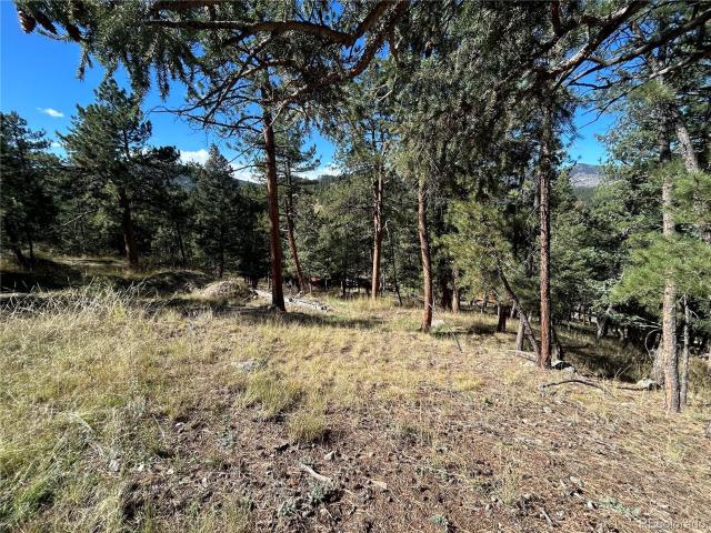 Land for sale in Evergreen, Colorado