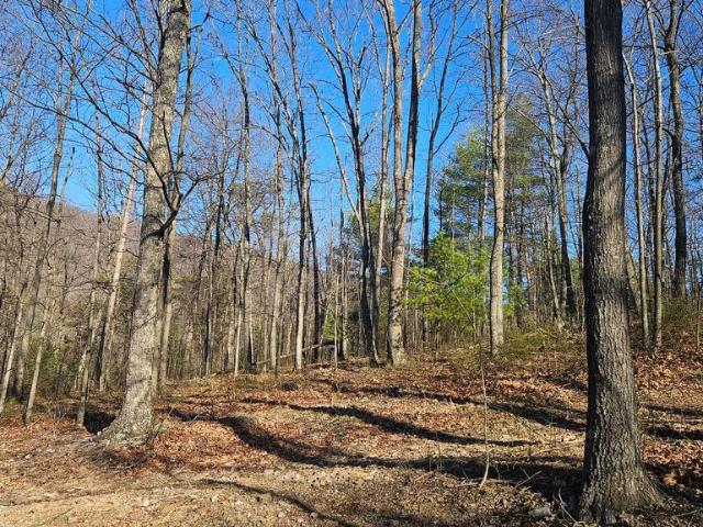 Land for sale in Bedford, Pennsylvania