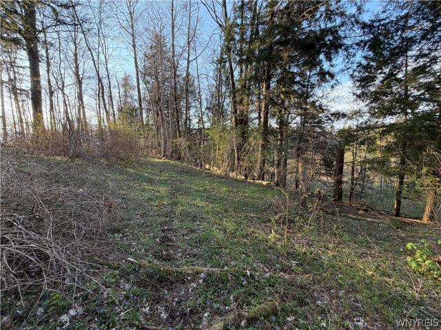 Land for sale in Java Village, New York