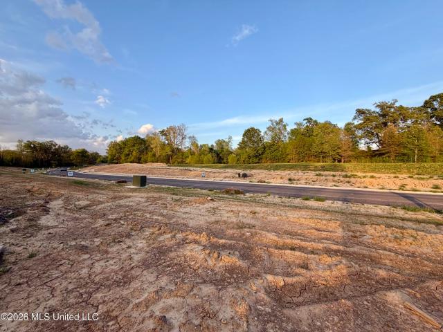 Land for sale in Vicksburg, Mississippi