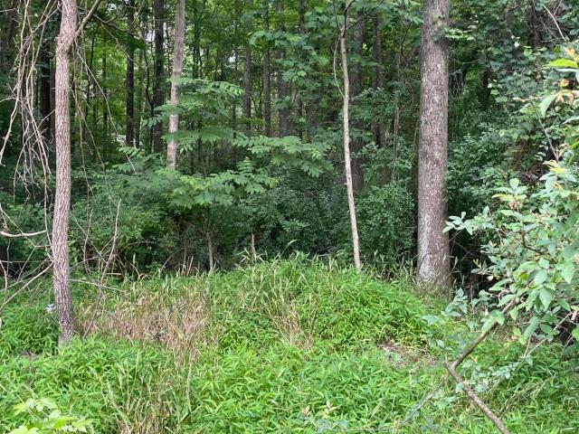 Land for sale in Siler City, Chatham County