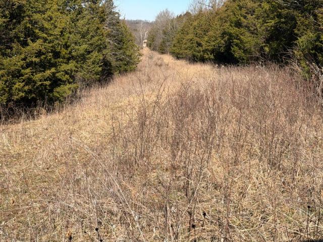 Land for sale in Kentucky