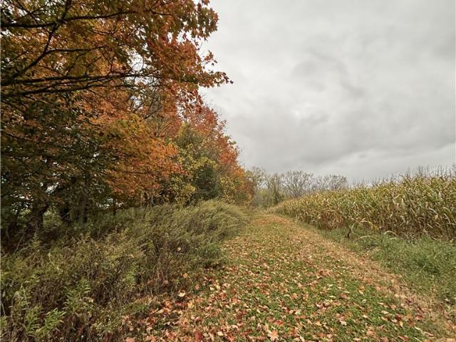 Land for sale in Town of Lima, Livingston County
