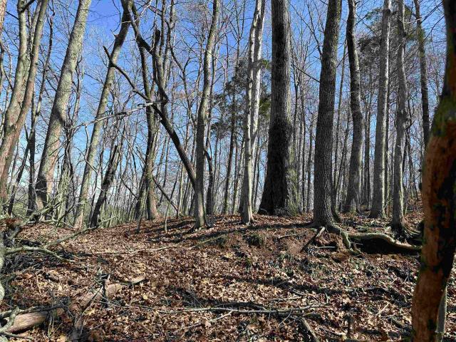 Land for sale in Tennessee