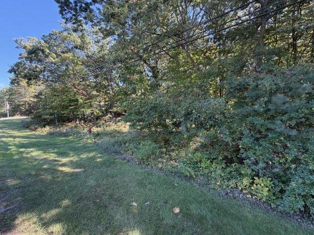 Land for sale in Caseville, Huron County