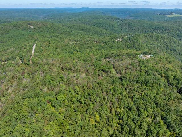 Land for sale in Shirley, Van Buren County