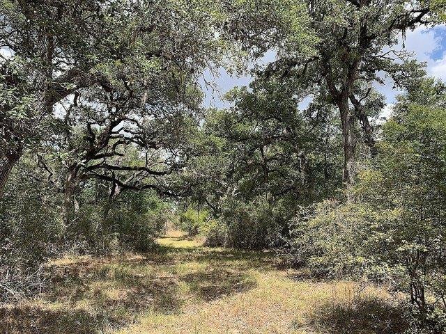 Land for sale in Hallettsville, Texas