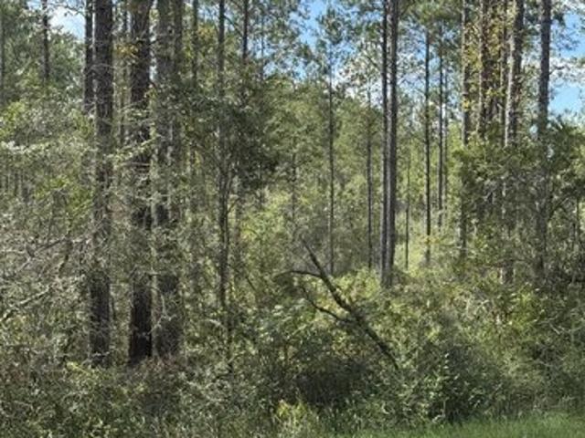 Land for sale in Poplarville, Pearl River County