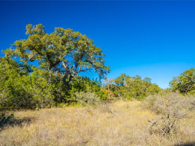 Farm for sale in San Marcos, Hays County