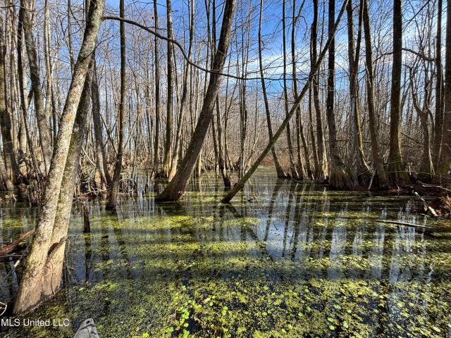 Land for sale in Tchula, Mississippi