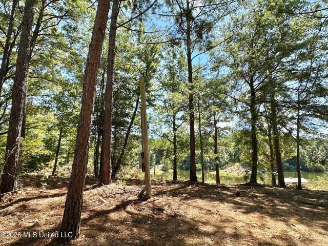 Land for sale in West, Mississippi