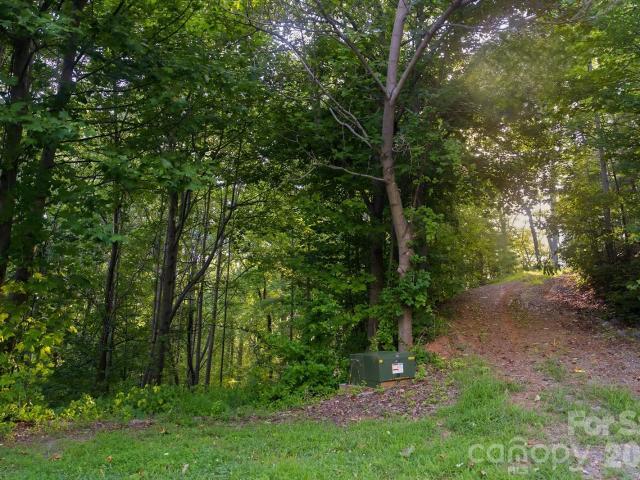 Land for sale in The Sanctuary at Tryon, Columbus