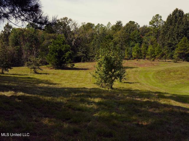 Land for sale in Raymond, Hinds County