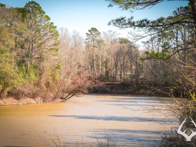 Land for sale in Colmesneil, Texas