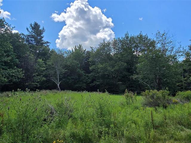 Land for sale in Neversink, New York