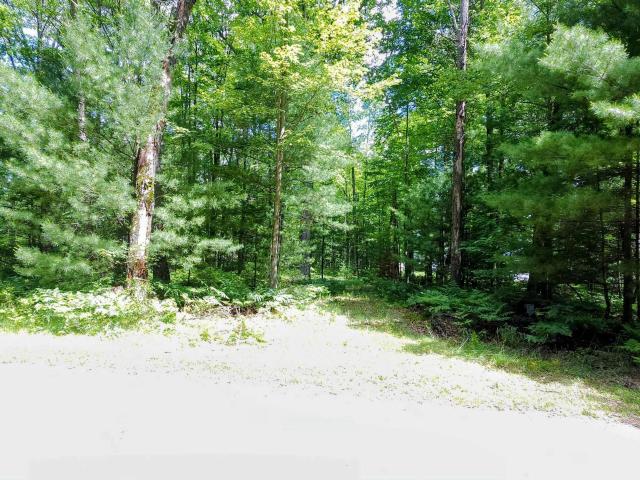Land for sale in Michigan