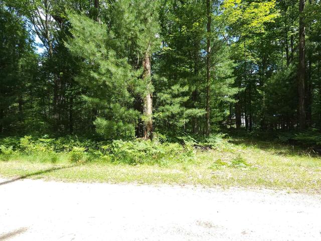 Land for sale in Michigan