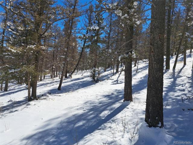 Land for sale in Fairplay, Colorado