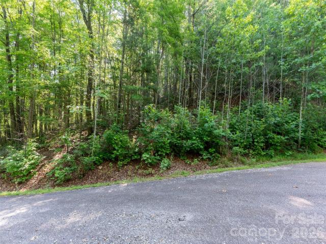 Land for sale in Saluda, North Carolina