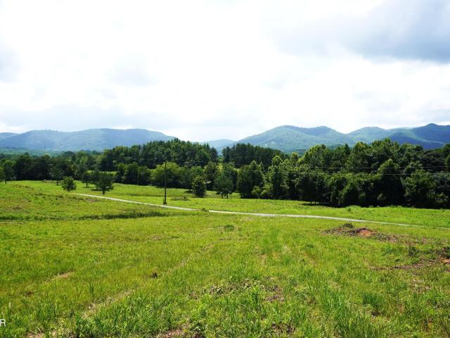 Land for sale in Clevenger, Newport
