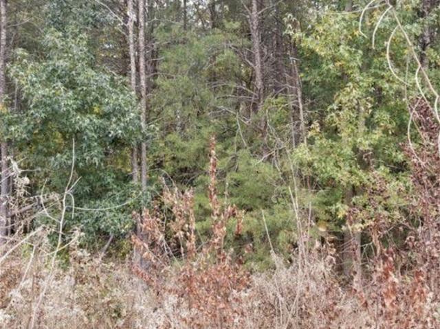 Land for sale in Virginia