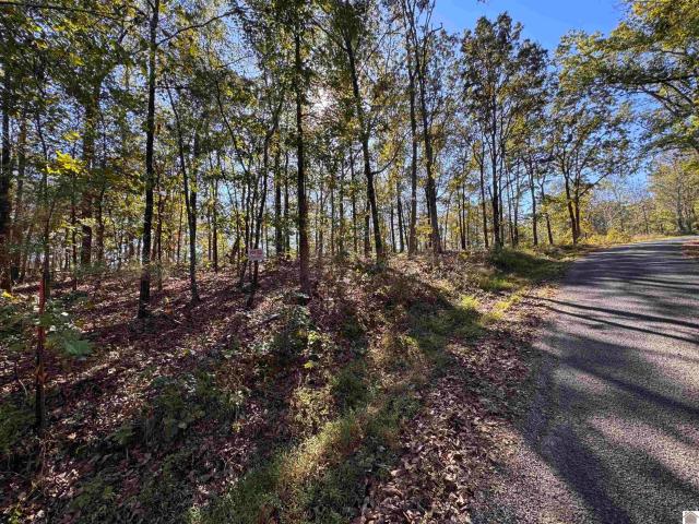 Land for sale in Kentucky