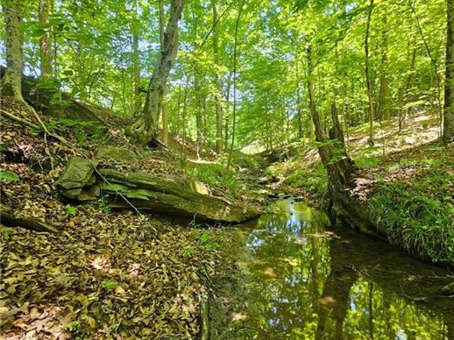 Land for sale in Six Mile Run, South Carolina
