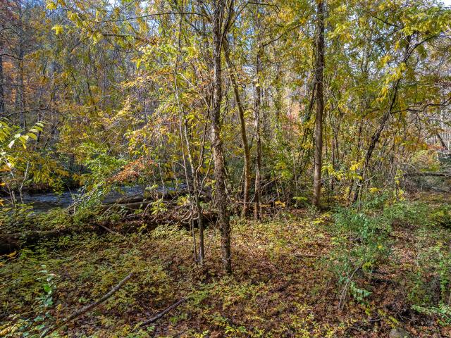 Land for sale in Tennessee