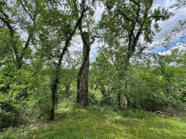 Land for sale in Wharton, Texas