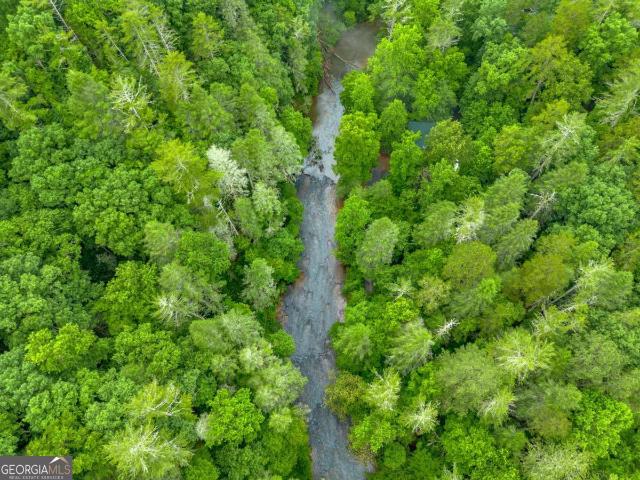Land for sale in Gilmer, Georgia