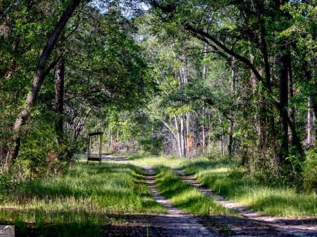 Land for sale in Baconton, Georgia