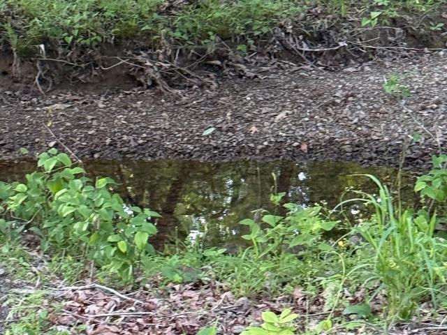Land for sale in Ark
