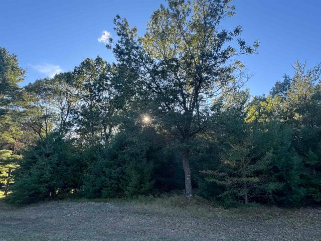 Land for sale in Oscoda Township, Iosco County