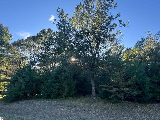 Land for sale in Au Sable Township, Iosco County