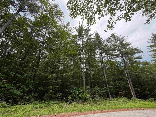 Land for sale in New Hampshire