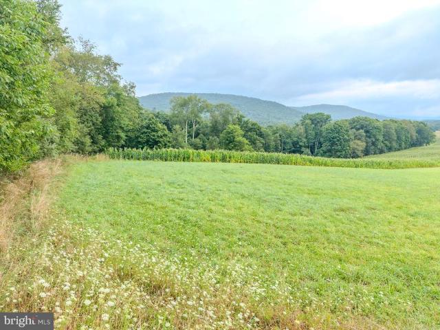 Land for sale in Lycoming, Pennsylvania
