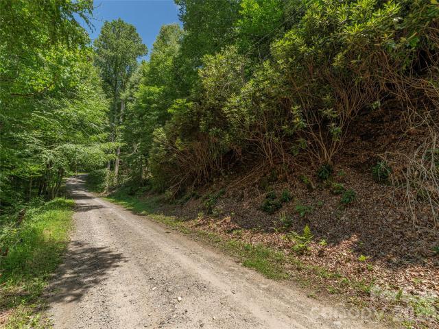 Land for sale in Haywood, North Carolina