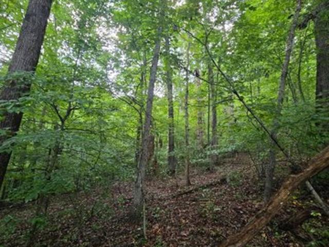 Land for sale in West Virginia