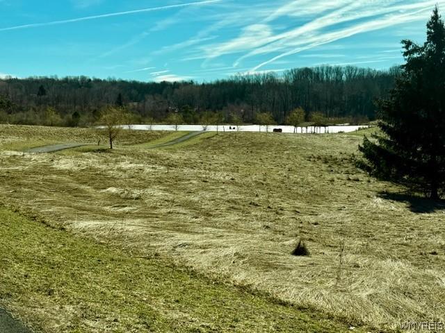Land for sale in Java Center, New York