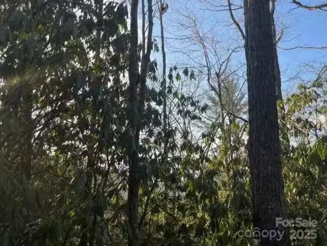 House for rent in Asheville