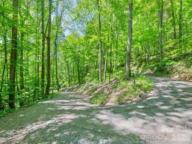 Land for sale in Haywood, North Carolina