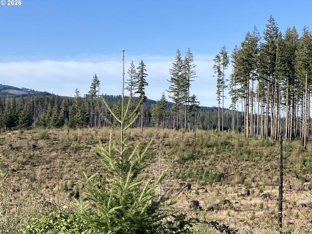 Land for sale in Oregonia