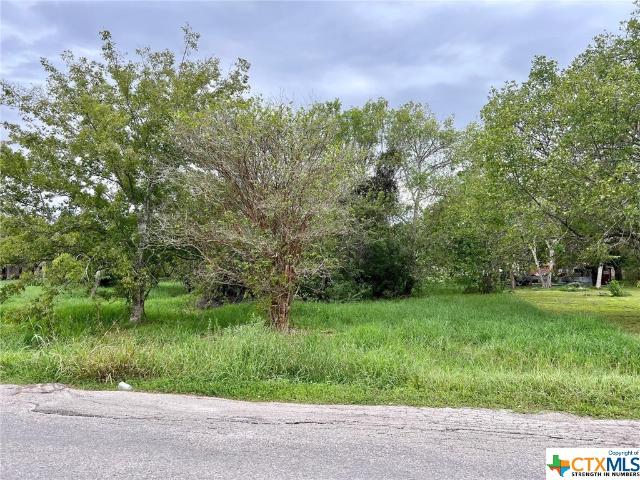 Land for sale in Edna, Texas
