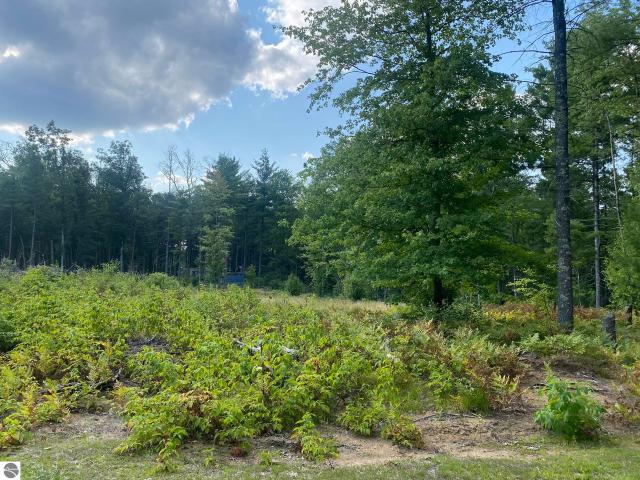 Land for sale in Pleasant Plains Township, Lake County